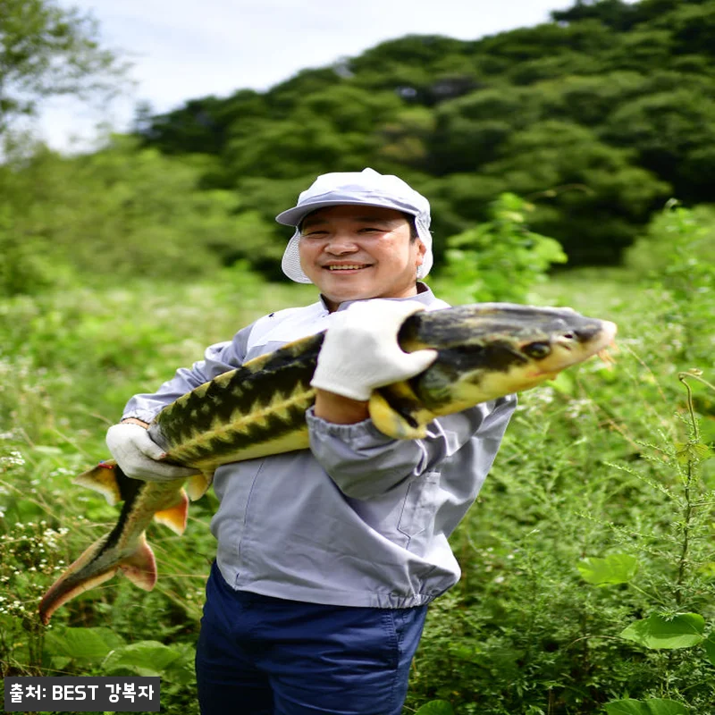 철갑상어즙 운동선수보양식, 72시간 관련 이미지 8
