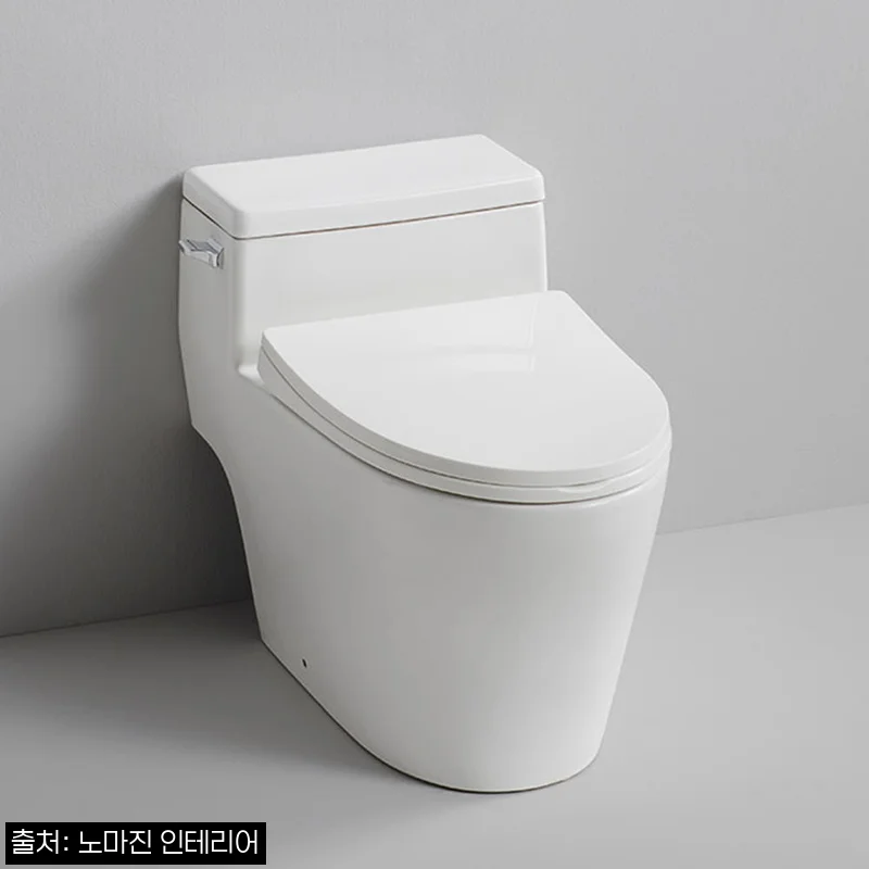 대림바스 CC216G1 로우탱크 원피스양변기, 철거·폐기·설치까지 한 번에 보는 교체 포인트